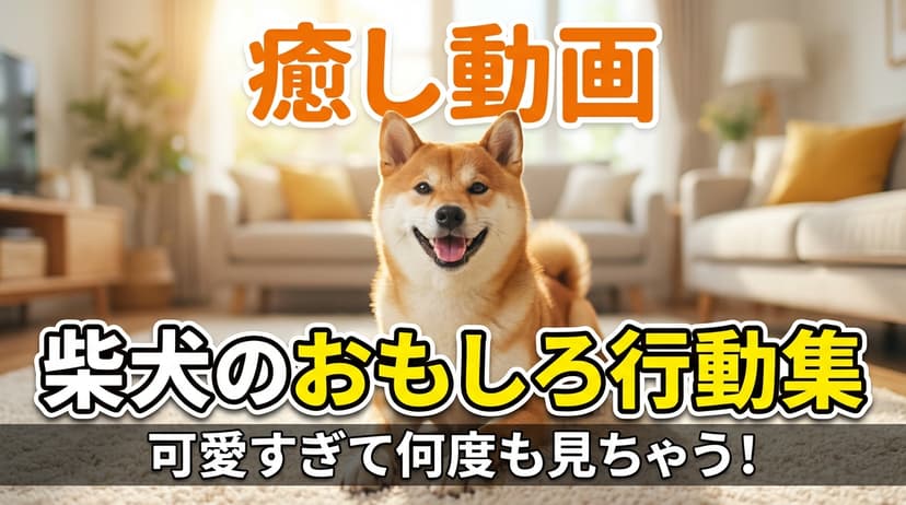 柴犬のおもしろ行動集